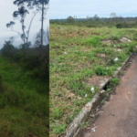 Corpo carbonizado é encontrado em trilha isolada em Joinville