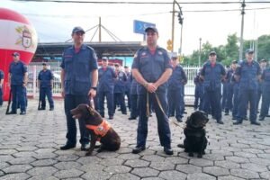 Homenagem marca aposentadoria dos cães Bravo e Chewbacca do Corpo de Bombeiros 