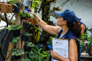 Dia D do combate à dengue: Secretaria da Saúde recomenda ações aos municípios