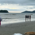 Cão fica ao lado do corpo do dono morto em praia de Balneário Camboriú