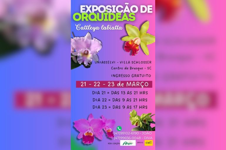 Abapo promove Exposição de Orquídeas – Cattleya Labiatta no próximo fim de semana