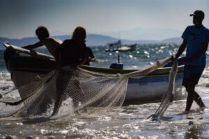 Governador vai ao STF para reverter medida de cotas para a pesca da tainha imposta pelo governo federal