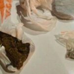 Cheiro de maconha leva PM a abordar grupo e aprender drogas com adolescente em Brusque