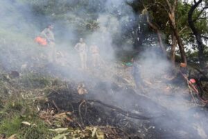 Queda de helicóptero na Índia mata criança e mais seis pessoas