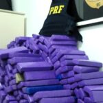 VÍDEO: Quase 600 quilos de maconha são apreendidos na Grande Florianópolis