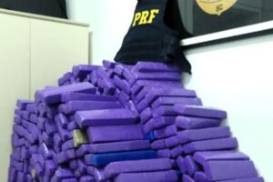 VÍDEO: Quase 600 quilos de maconha são apreendidos na Grande Florianópolis