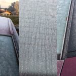 VÍDEO: Temperatura abaixo de 3ºC faz vidros de carros congelarem no bairro Jardim Maluche