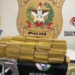 Operação integrada resulta na apreensão de 209 quilos de maconha em Rancho Queimado