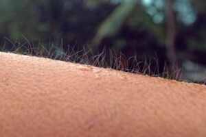 O que provoca arrepios? Veja o que a ciência revela sobre essa reação