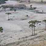 Defesa Civil alerta para frio intenso com mínimas de até -4°C em SC