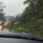 Árvore cai e deixa Rua Florianópolis em meia pista no bairro Primeiro de Maio