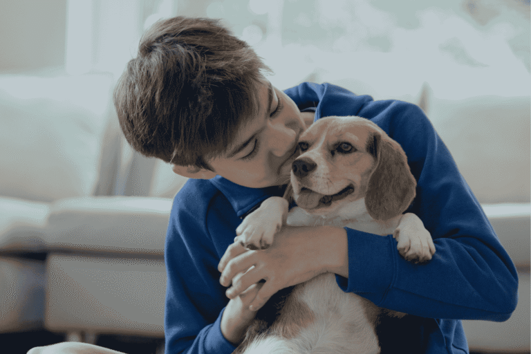 Pets superam crianças no Japão como a queda de nascimentos redefiniu os laços familiares