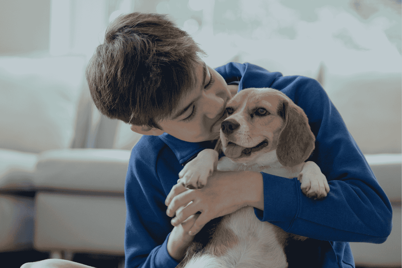 Pets superam crianças no Japão como a queda de nascimentos redefiniu os laços familiares