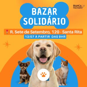 Bazar solidário arrecada fundos para animais resgatados em Brusque