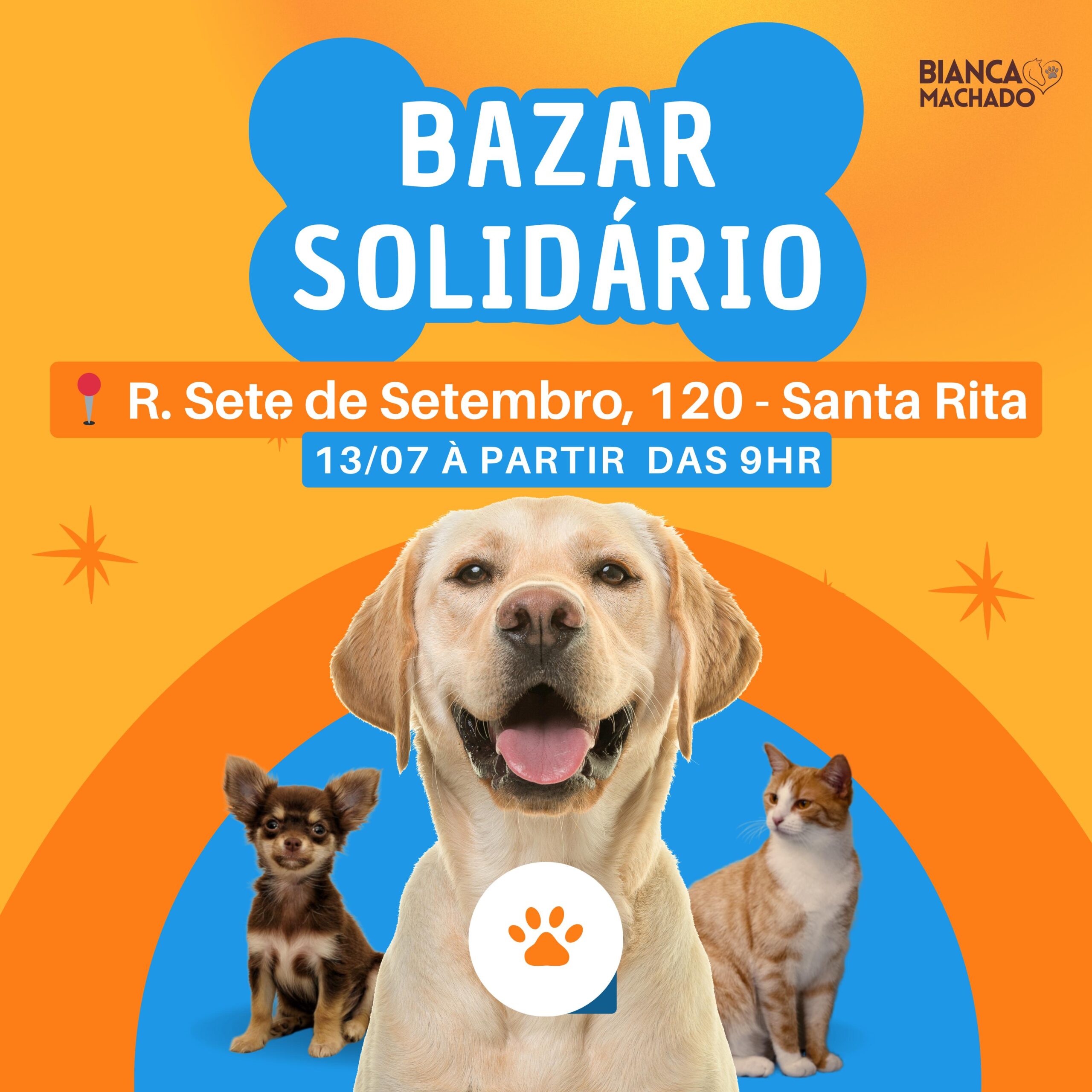Bazar solidário arrecada fundos para animais resgatados em Brusque