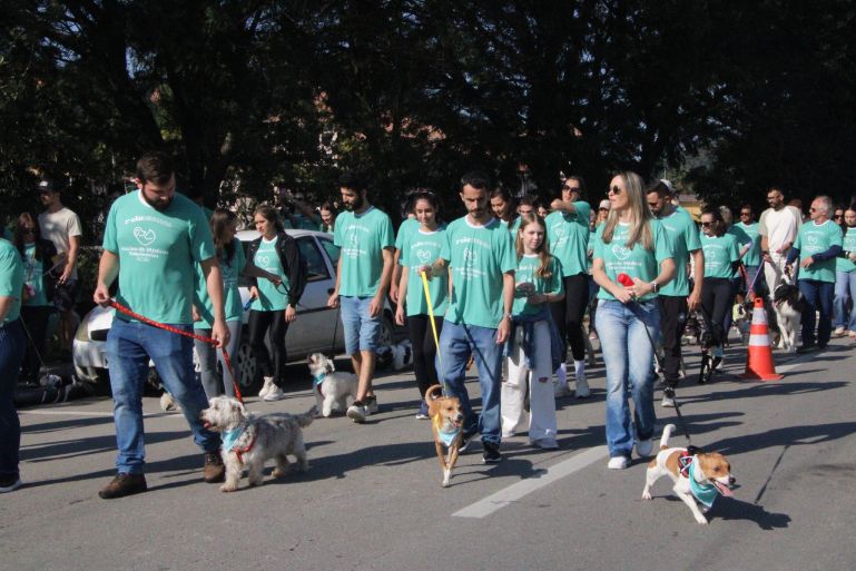 IMAGENS: 2ª Cãominhada movimenta Beira-Rio com passeio, adoções e homenagem