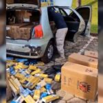 PRF apreende 12,5 mil maços de cigarros contrabandeados na BR-282