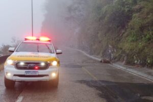 Santa Catarina tem casas danificadas e rodovias afetadas pelas chuvas