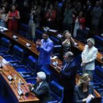 Senado aprova projeto contra adultização de crianças na internet
