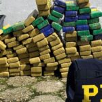 Homem é preso com mais de 111 quilos de maconha em Balneário Camboriú