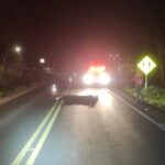 Pedestre morre atropelado por caminhão na SC-157 em Quilombo