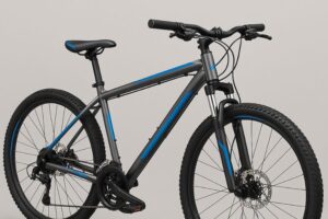 Homem é detido por furto de bicicleta no Centro de Brusque