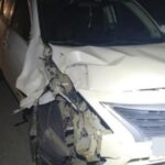 Boi invade pista e morre atingido por carro com placas de Brusque na Rod. Antônio Heil