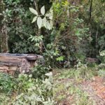 Carro capota em ribanceira após saída de pista em Botuverá