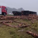Carreta carregada com toras tomba na BR-470 e deixa motorista ferido em Indaial