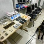 Cão farejador auxilia PM na busca por drogas em Itapema (SC)