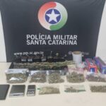 PM encontra cultivo de maconha durante atendimento a suposta briga de casal em Blumenau