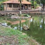 Parque Leopoldo Moritz reabre no dia 7 de setembro com entrada gratuita