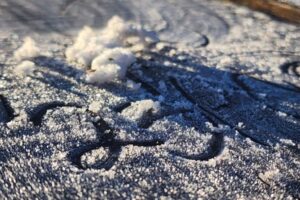 Frio fora de época surpreende Santa Catarina com geada na primavera