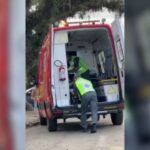 Cão invade escola e morde duas alunas em Criciúma: bombeiros são acionados
