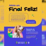 “Adote um final feliz” é lema de campanha da Câmara e Acapra