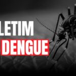 Dengue SC: Saúde registra mais de 52 mil focos do mosquito Aedes aegypti no estado