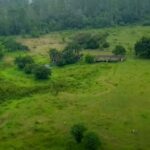 Guabiruba inaugura Labirinto Cultural em homenagem às tradições e à memória local