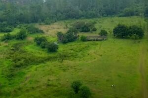 Guabiruba inaugura Labirinto Cultural em homenagem às tradições e à memória local