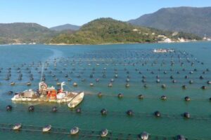 Agronegócio de Santa Catarina bate recordes e reforça protagonismo nacional