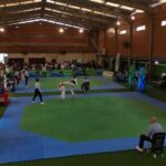 Novas modalidades iniciam suas disputas nesta semana na Olesc Novas modalidades iniciam suas disputas nesta semana na Olesc