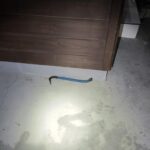 Vizinhos ajudam a deter homem durante tentativa de furto em residência em Blumenau