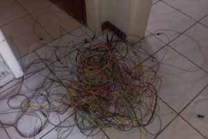 Em liberdade provisória, homem é flagrado no telhado durante furto no litoral catarinense