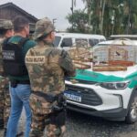 ‘Operação Libertas’ chega a Brusque em ação contra tráfico de animais silvestres ‘Operação Libertas’ chega a Brusque em ação contra tráfico de animais silvestres