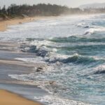 Saiba como está a qualidade d’água nas praias de Santa Catarina Saiba como está a qualidade d’água nas praias de Santa Catarina