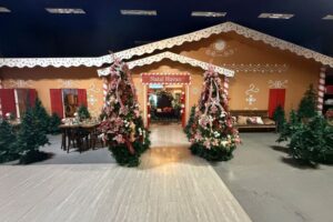 Casa de Natal da Havan de Brusque traz variedade e inspiração para decoração natalina