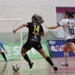 Barateiro Havan Futsal vence o Tubarão pelo campeonato estadual Barateiro Havan Futsal vence o Tubarão pelo campeonato estadual