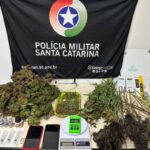 Após denúncia de ameaça à mulher, PM de Blumenau encontra plantação de maconha em residência