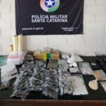 Polícia flagra “gato” de energia e descobre depósito de drogas em morro de Blumenau