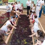Horto Florestal recebe alunos do Colégio São Luiz