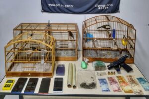 Polícia Militar apreende drogas, arma e animais silvestres durante operação em Blumenau